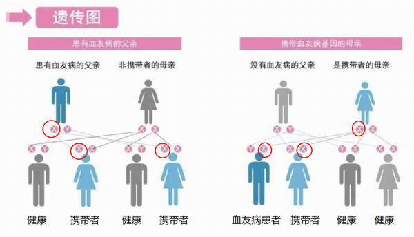 调整大小 13.png