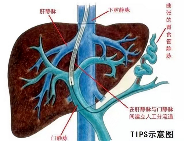 44_调整大小.png